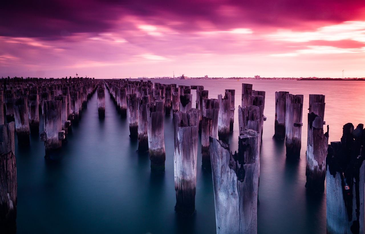 A Wine and Wildlife Adventure in Port Noarlunga